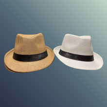 Load image into Gallery viewer, Panama Hat Assorted Color
